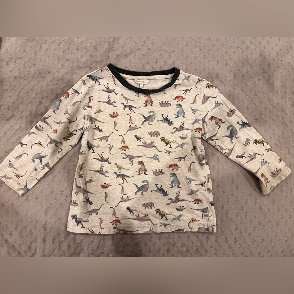 Beautiful  Long Sleeve Dinosaur Print Tee size 4T